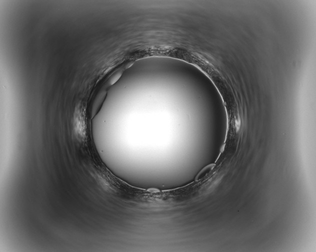 X0000087051252200704181229