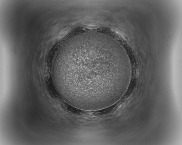 X0000087051253200704181229