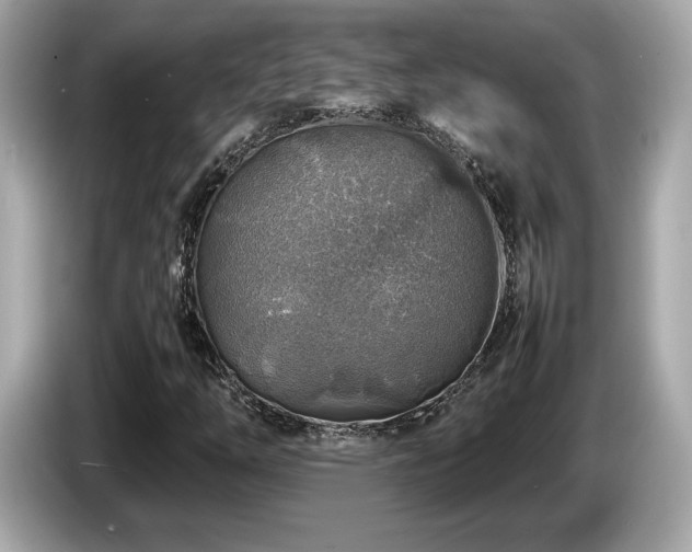 X0000087051254200704181229