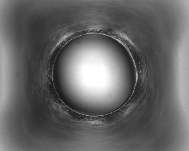 X0000087051256200704181229