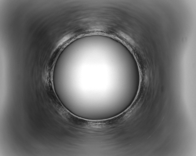 X0000087051258200704181229