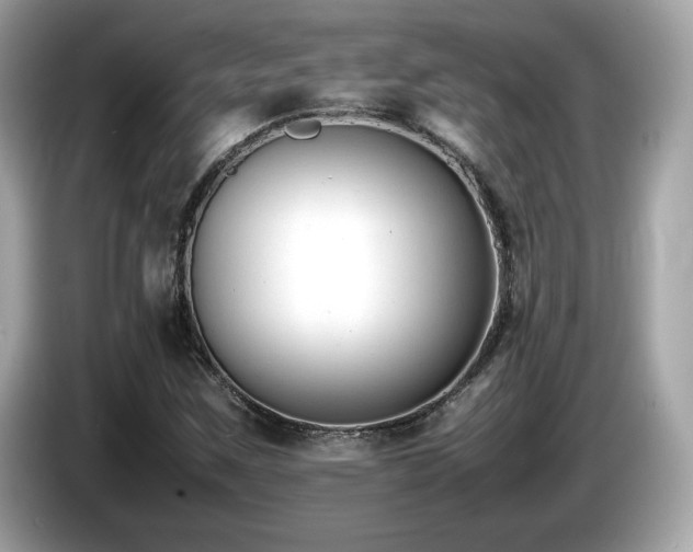 X0000087051259200704181229