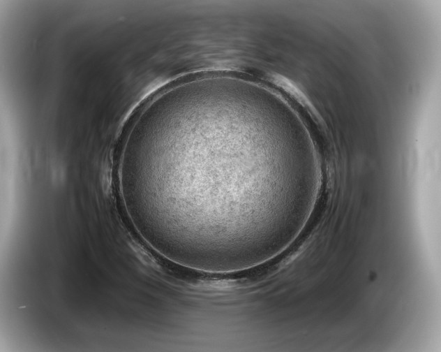 X0000087051260200704181229