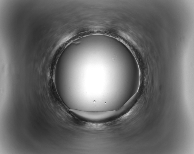X0000087051261200704181229