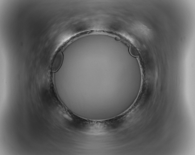 X0000087051263200704181229