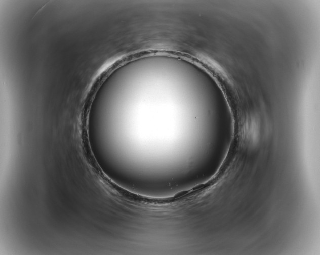 X0000087051264200704181229