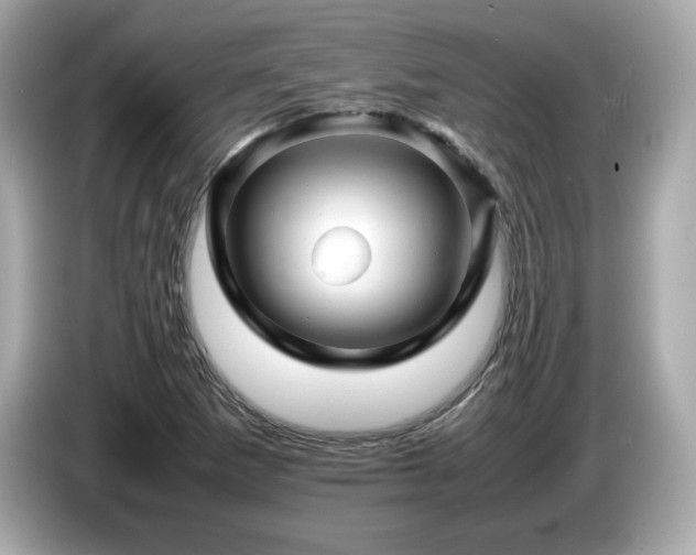 X0000087051265200704181229
