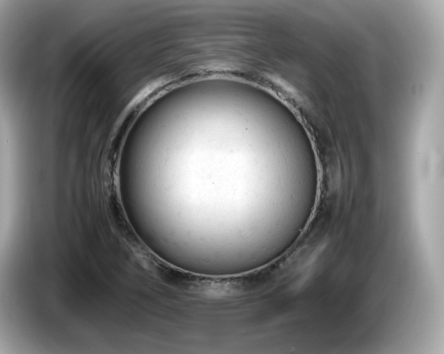 X0000087051266200704181229