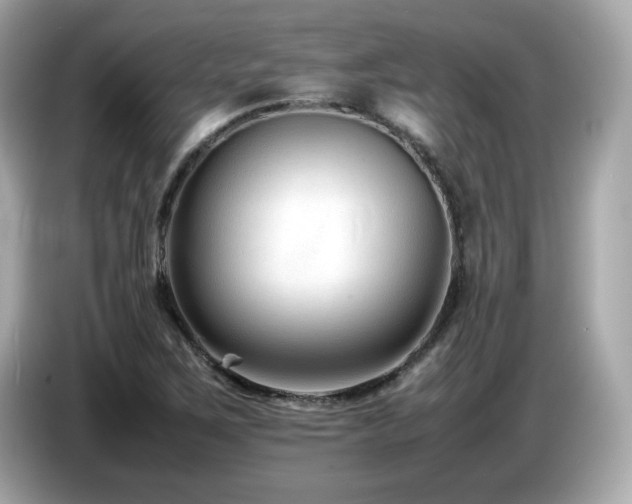 X0000087051267200704181229