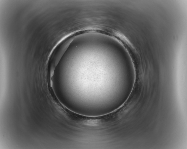 X0000087051268200704181229