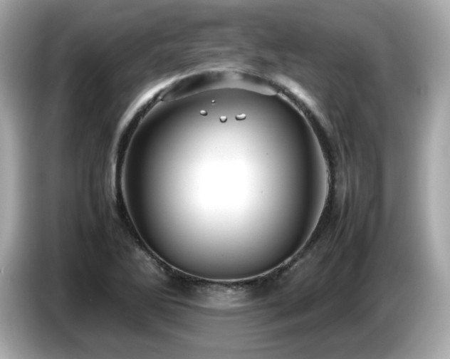 X0000087051270200704181229