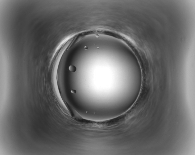 X0000087051271200704181229