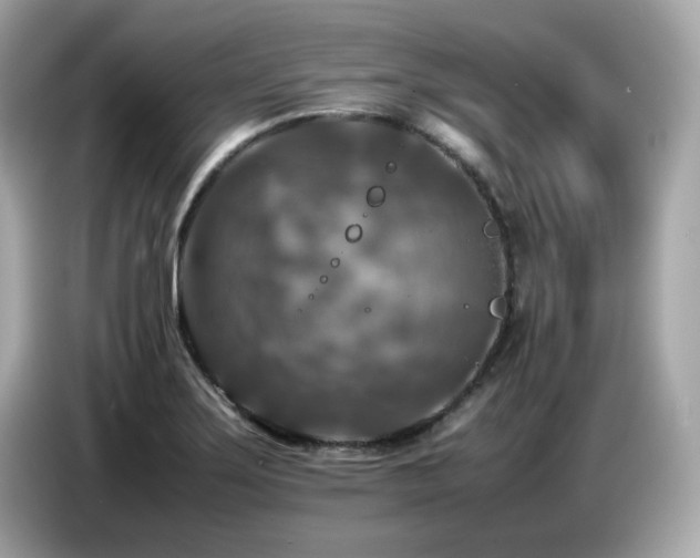 X0000087051275200704181229