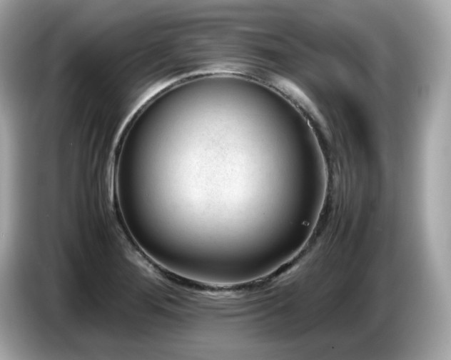 X0000087051276200704181229