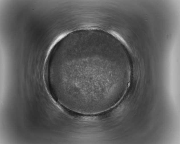 X0000087051277200704181229
