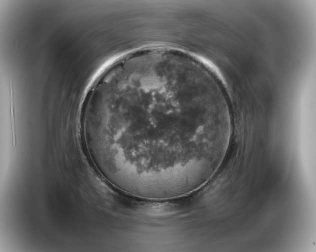 X0000087051279200704181229