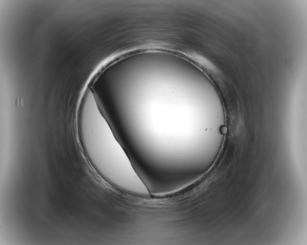 X0000087051280200704181229
