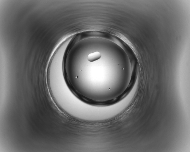 X0000087051283200704181229