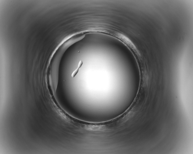 X0000087051284200704181229