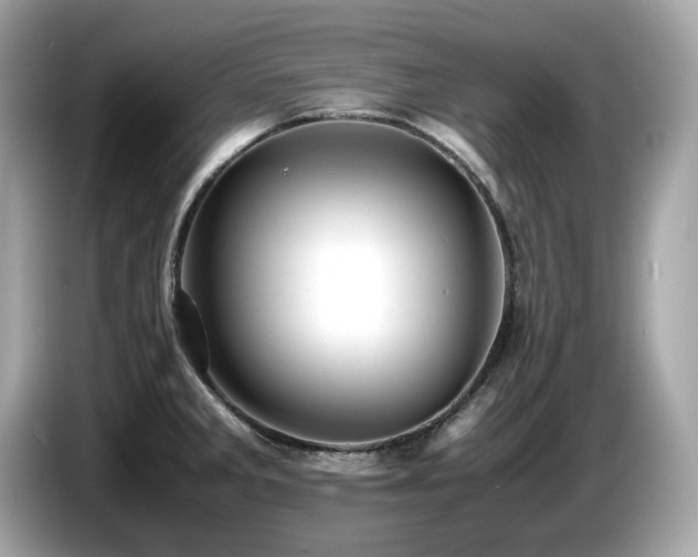 X0000087051285200704181229