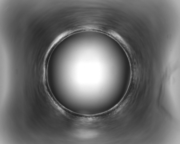 X0000087051286200704181229