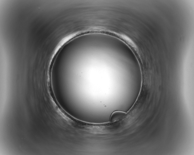 X0000087051287200704181229