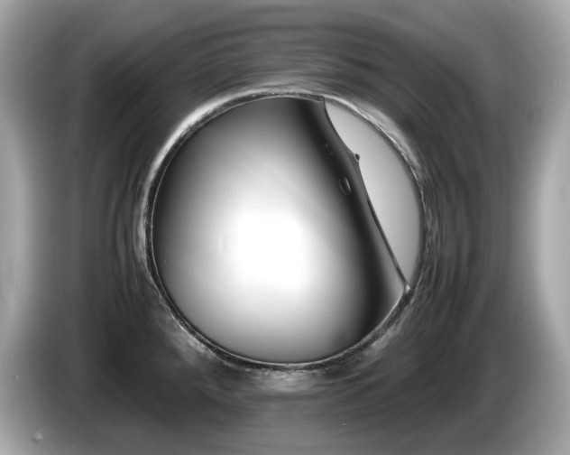 X0000087051288200704181229
