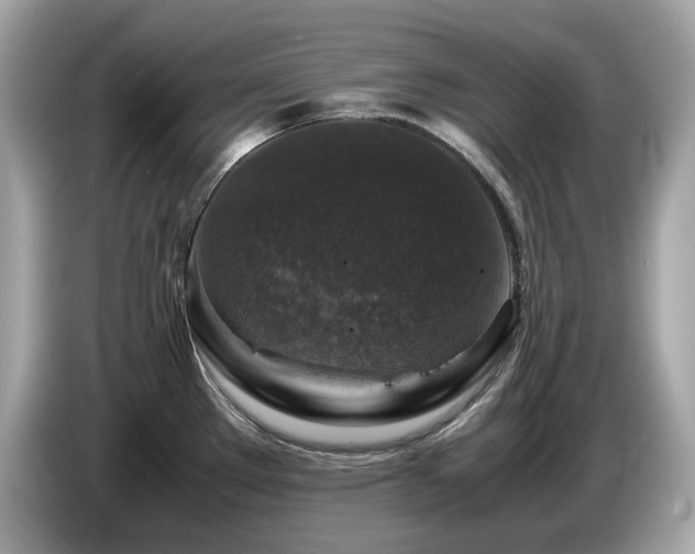 X0000087051289200704181229