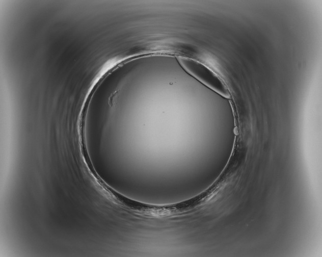 X0000087051291200704181229