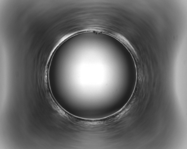 X0000087051292200704181229