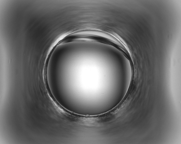 X0000087051293200704181229