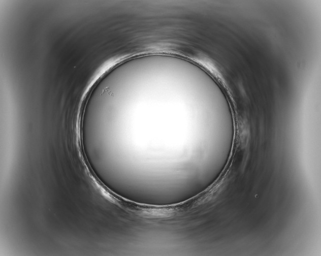 X0000087051294200704181229