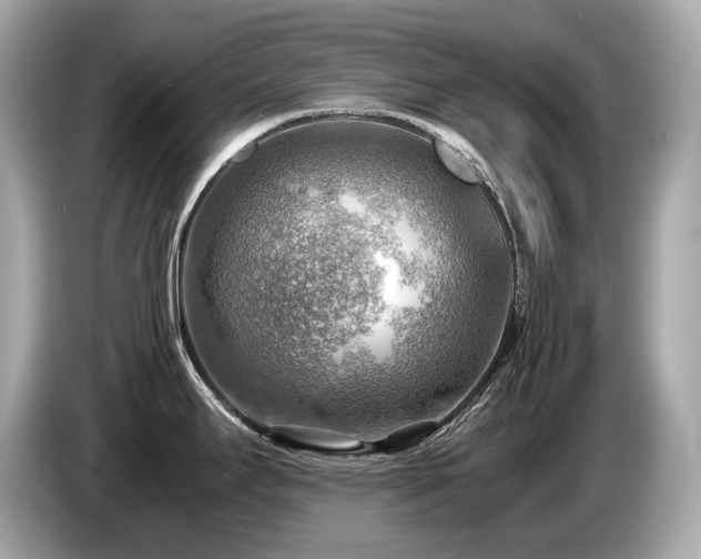 X0000087051295200704181229