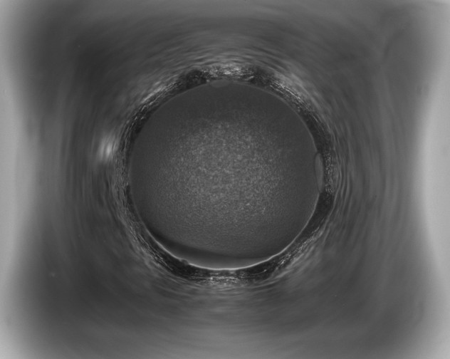 X0000087051297200704181228