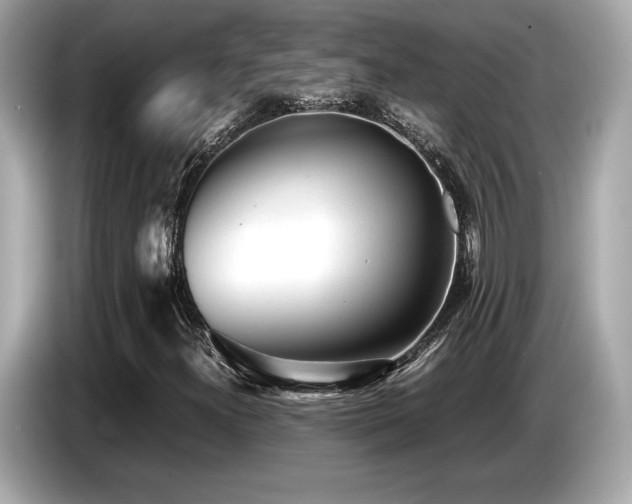 X0000087051300200704181228