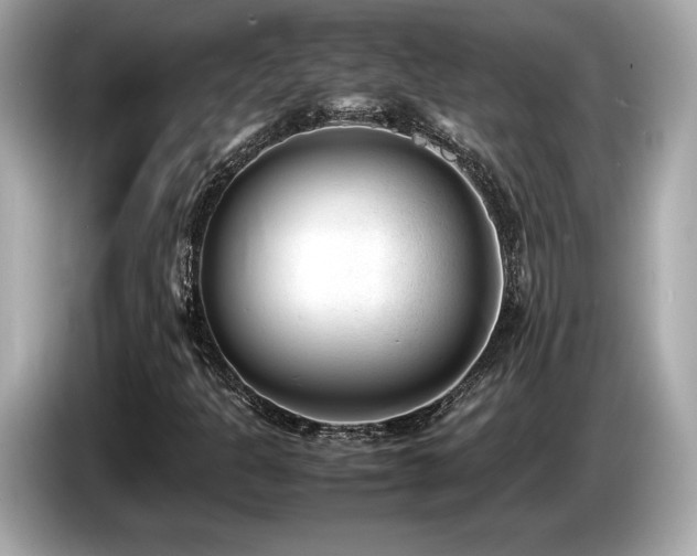 X0000087051301200704181228