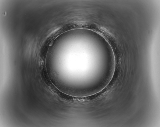 X0000087051302200704181228