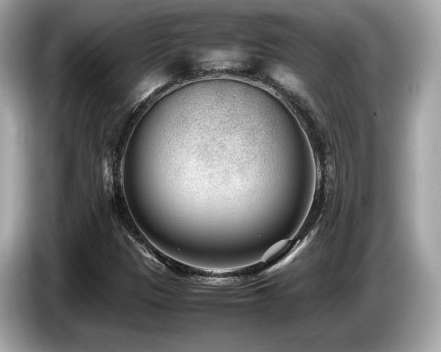 X0000087051305200704181228