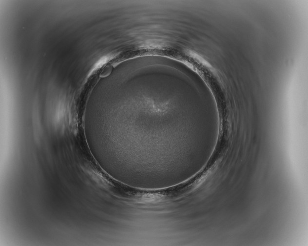 X0000087051306200704181228