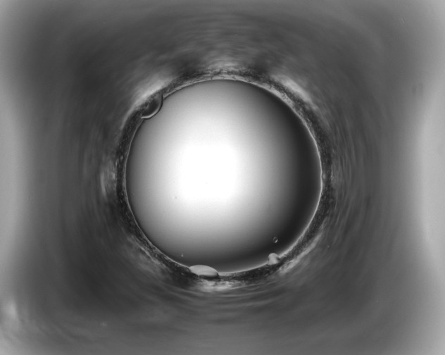 X0000087051309200704181228