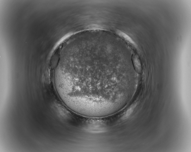 X0000087051310200704181228