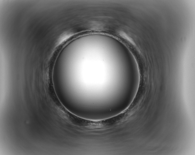 X0000087051315200704181228