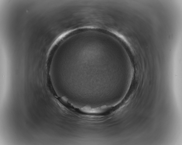 X0000087051319200704181228