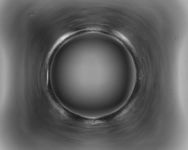 X0000087051323200704181228