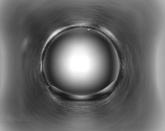 X0000087051324200704181228