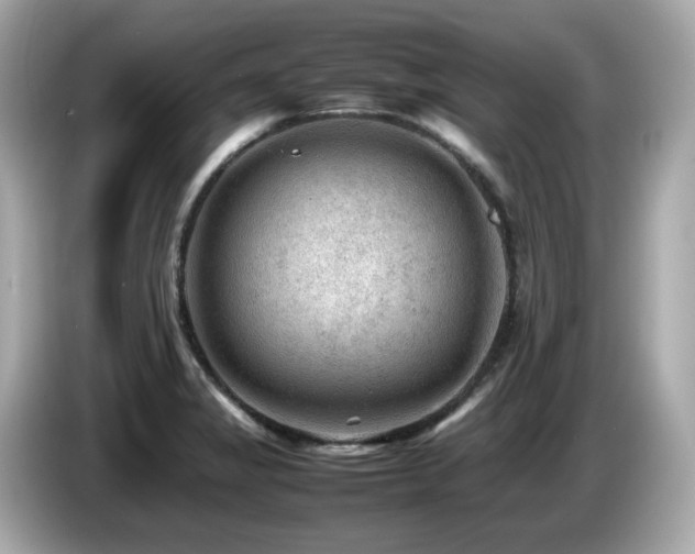 X0000087051325200704181228