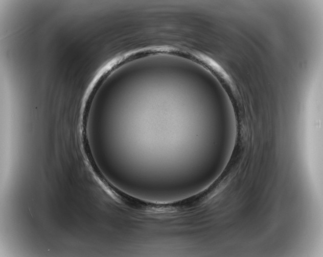 X0000087051327200704181228