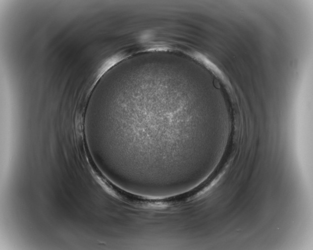 X0000087051329200704181228