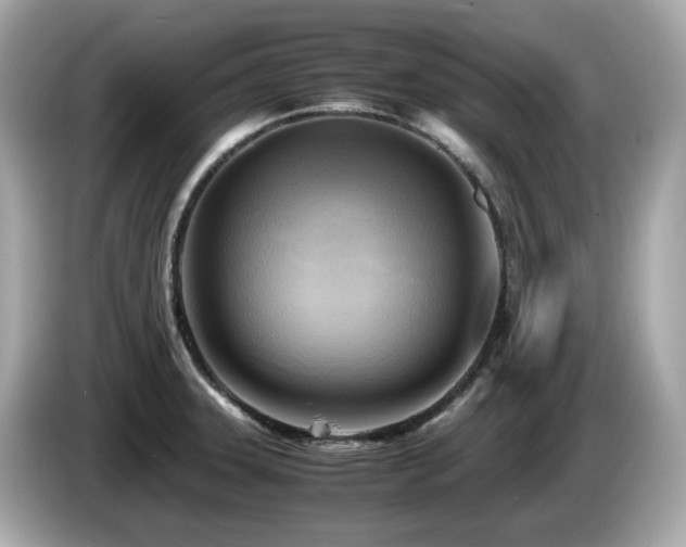 X0000087051331200704181228
