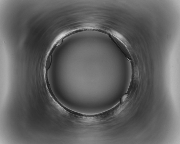 X0000087051334200704181229